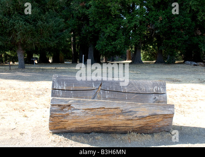 A bench made out of a portion of a tree in Marin County, California Stock Photo