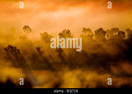 Morning sun illuminates and begins evaporating heavy mist in Crown Valley Laguna Niguel California Stock Photo