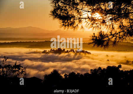 Morning sun illuminates and begins evaporating heavy mist in Crown Valley Laguna Niguel California Stock Photo