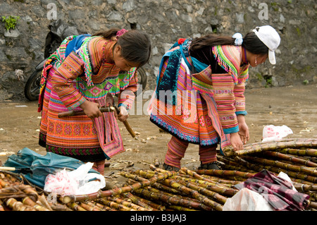 Two Flower Hmong girls sorting through a pile of raw sugar cane branches in a Vietnamese market Stock Photo