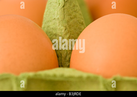 Brown free range eggs in egg box Stock Photo