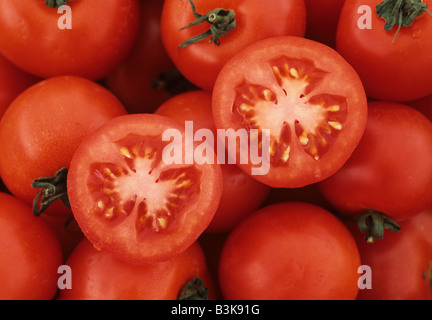 Close up of sliced Tomatoes Solanum lycopersicum USA Stock Photo