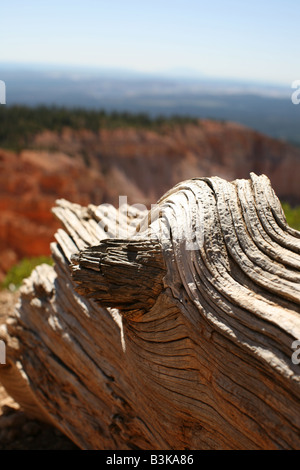 Bryce Canyon National Park Utah Stock Photo