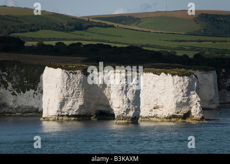 Old Harry Rocks seen from the sea, on the Isle of Purbeck, near Studland, Poole, Dorset, UK Stock Photo