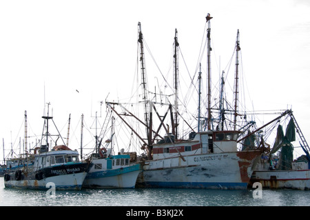 Fishing Boats in Dock Stock Photo