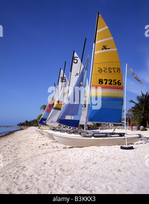 Hire boats on beach, Key West, Florida, USA.