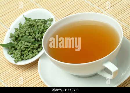 medicinal tea made of mugwort wegwood artemisia artemisia vulgaris artemisia officinalis amarella assenzio assenzio selvatico Stock Photo