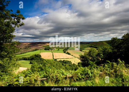 Surprise View Gillamoor North York Moors National Park Stock Photo