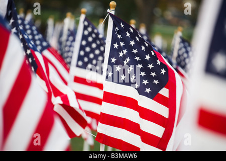 American stars and stripes flags in detail Stock Photo