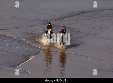 Horses running  along the shore in the seaside town of Bundoran Co Donegal Stock Photo