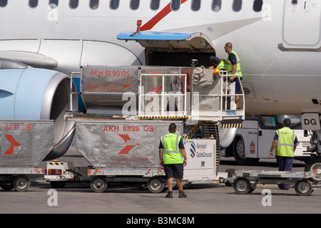 Air freight cargo on pallets being loaded into the freight hold of a ...