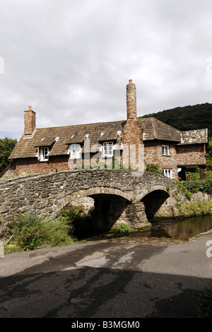 The packhorse bridge and cottages at Allerford village on Exmoor N Devon Stock Photo