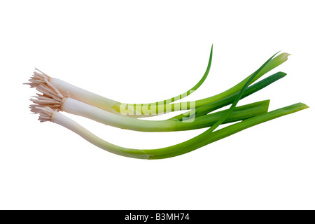 green onions isolated on white background Stock Photo