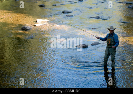 Local resident fly fishes for trout on Gore Creek, Vail, Colorado in August. Stock Photo