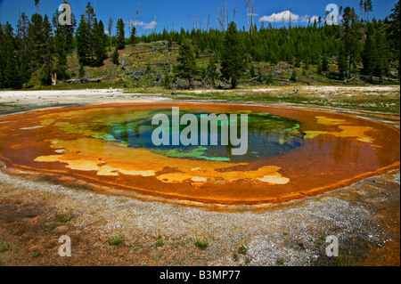 Hot springs Yellowstone National Park Stock Photo