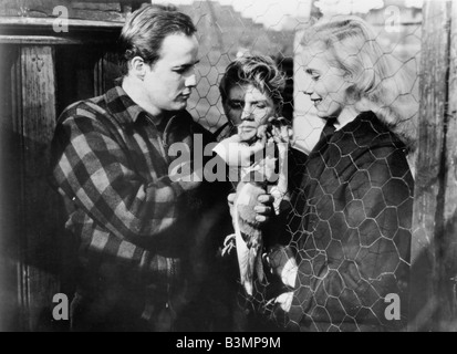 Marlon Brando & Eve Marie Saint Poster Film: On The Waterfront (USA ...