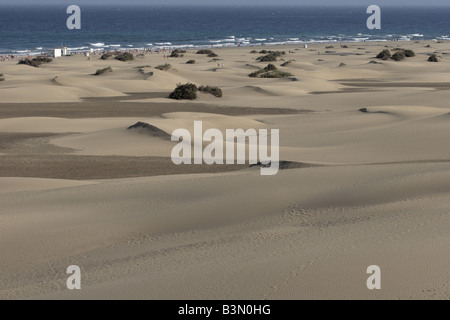 Sand dunes at Maspalomas a 250 hectare natural reserve sculpted by the wind on the south of Gran Canaria Canary Islands Spain Stock Photo