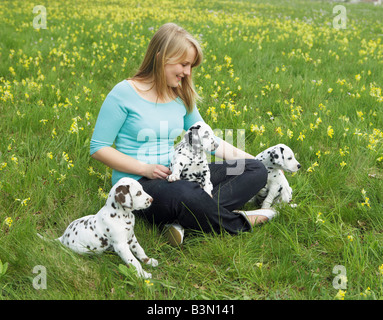three dalmatian dog puppies with girl - on meadow / Stock Photo