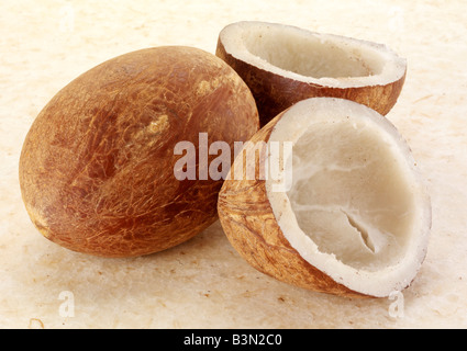 DRIED COPRA Stock Photo