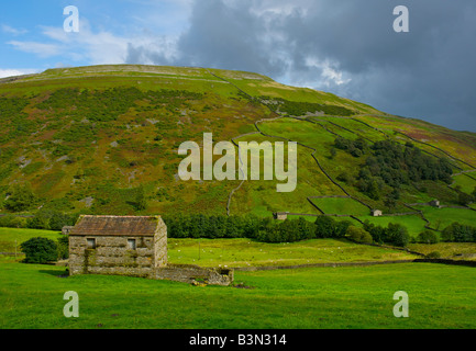 Field barns in Upper Swaledale, near Thwaite, with Kisdon Hill in the background, Yorkshire Dales National Park, England UK