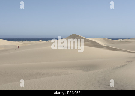 Sand dunes at Maspalomas a 250 hectare natural reserve sculpted by the wind on the south of Gran Canaria Canary Islands Spain Stock Photo