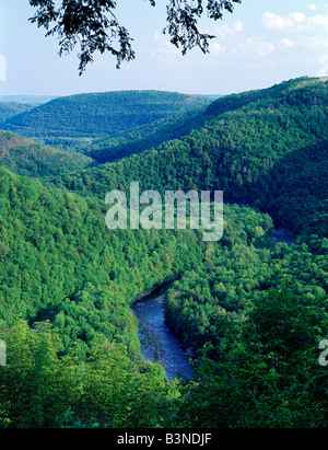 SUMMER VIEW FROM CANYON VISTA OF LOYALSOCK CREEK, WORLD'S END STATE PARK, PENNSYLVANIA, USA Stock Photo