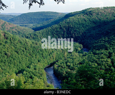 SUMMER VIEW FROM CANYON VISTA OF LOYALSOCK CREEK, WORLD'S END STATE PARK, PENNSYLVANIA, USA Stock Photo