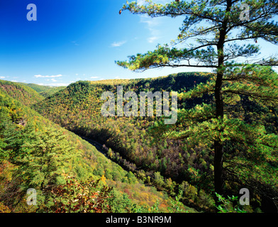 LATE SUMMER VIEW OF GRAND CANYON OF PENNSYLVANIA; PINE CREEK 800' BELOW; COLTON POINT STATE PARK, PENNSYLVANIA, USA Stock Photo