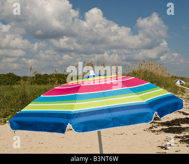 Sea oats for erosion control on the man made sand beach on the Gulf of ...