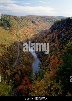 GRAND CANYON OF PENNSYLVANIA; PINE CREEK 800' BELOW; COLTON POINT STATE PARK, PENNSYLVANIA, USA Stock Photo