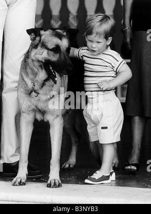 Prince Harry son of the Prince and Princess of Wales stroking Arkie the dog while on holiday in Majorca Stock Photo