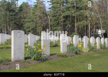 Canadian Military Cemetery Grave Markers Spring Daffodils Stock Photo