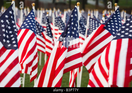 Closeup of stars and stripes flags in a park Stock Photo