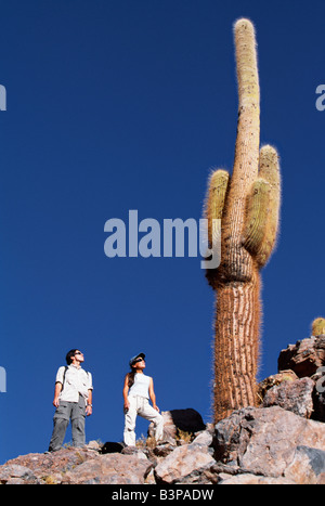 Chile, Atacama Desert, San Pedro de Atacama. Tourists hiking in the desert look up at a large Cardon cactus (Echinopsis atacamensis) the signature plant of the Atacama Desert Stock Photo