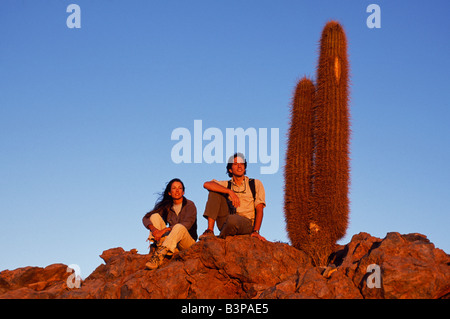 Chile, Atacama Desert, San Pedro de Atacama. Trekkers watch the sun set over the Atacama Desert. Beside them is a Cardon cactus Stock Photo