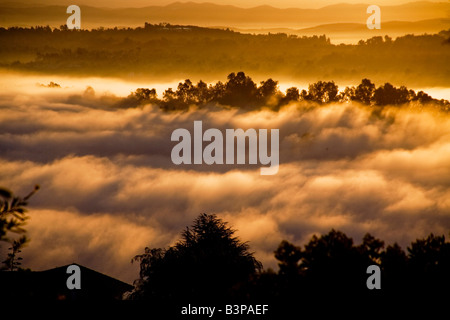 Morning sun illuminates and begins evaporating heavy mist in Crown Valley Laguna Niguel California Stock Photo