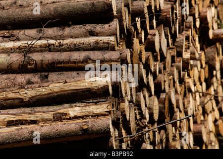 Germany, Bavaria, Upper Bavaria, Stack of sawn timber, full frame Stock Photo