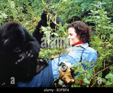 GORILLAS IN THE MIST 1988 UIP/Warner film with Sigourney Weaver Stock Photo