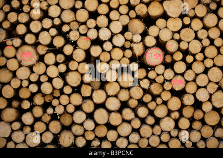 Germany, Bavaria, Upper Bavaria, Stack of sawn timber, full frame Stock Photo