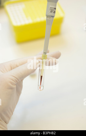 Hand in a sterile glove pipetting with a pipettor in a laboratory Stock Photo