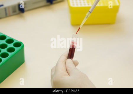 Hand in a sterile glove pipetting a tube of blood with a pipettor in a laboratory Stock Photo