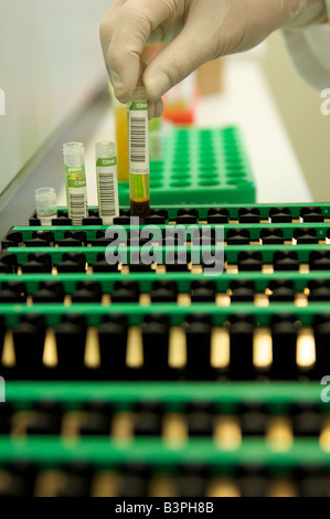 Hand in a sterile glove placing tubes of blood in trays in a laboratory Stock Photo