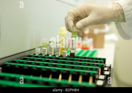 Hand in a sterile glove placing tubes of blood in trays in a laboratory Stock Photo