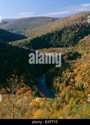 AUTUMN VIEW OF LOYALSOCK CREEK FROM CANYON VISTA OVERLOOK, WORLDS END STATE PARK, POCONO MOUNTAINS, PENNSYLVANIA, USA Stock Photo