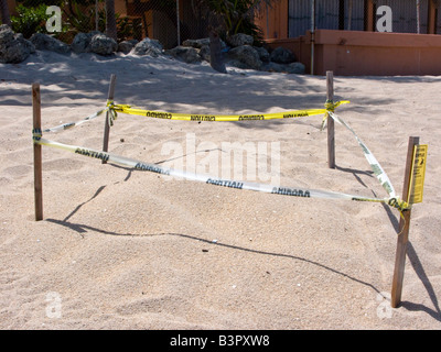Sea turtle nest on Florida beach marked off to protect the eggs - Fort Lauderdale, Florida, USA Stock Photo
