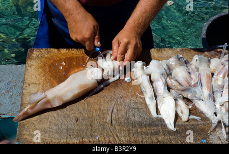 A man prepares squid in front of a tavern on the small island of Thisrassia Santorini Stock Photo