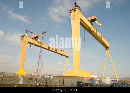 Samson and Goliath, the famous yellow cranes at Harland and Wolff, Belfast Stock Photo