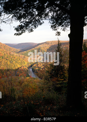 AUTUMN VIEW OF LOYALSOCK CREEK FROM CANYON VISTA OVERLOOK, WORLDS END STATE PARK, POCONO MOUNTAINS, PENNSYLVANIA, USA Stock Photo