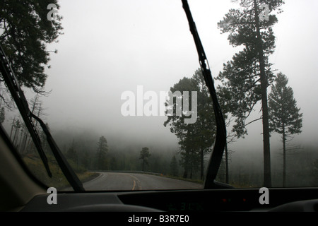 view through windshield driving through storm, Jemez mountains, New Mexico, USA Stock Photo