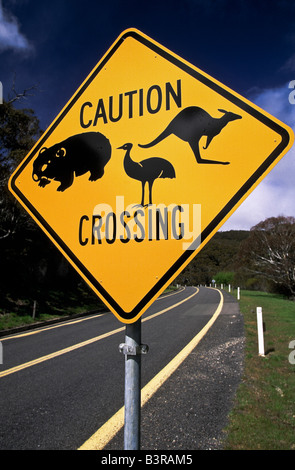 Road sign, Australia Stock Photo